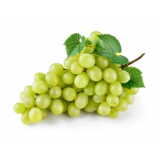 Green Seedless Grapes （about 2lb）