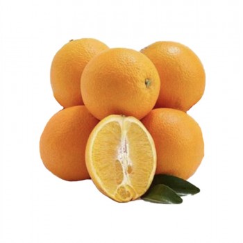 5pc Sunkist Navel Orange 