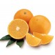 5pc California Orange 