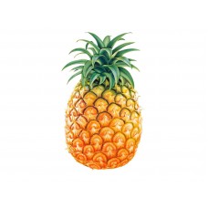 1pc Pineapple