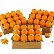 1box Sunkist Navel Orange （about 20-22pcs）
