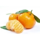 Sweet Mandarins with Leaf （about 2lb）
