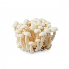 1 Packet of Shimeji Mushroom