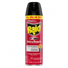 Raid Ant & Roach Spray 17.5oz