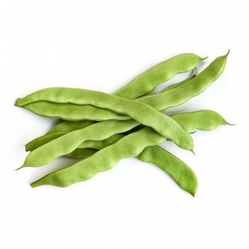 1 Bag of Fresh Roman Beans (about 0.9-1lb)