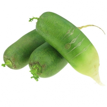 1 Green Radish (about 1.8lb)