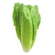 1 Bag of Organic Fresh Lettuce 3pc